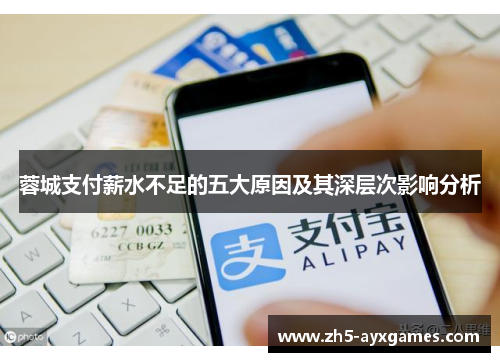 蓉城支付薪水不足的五大原因及其深层次影响分析