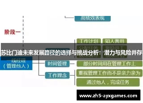 苏比门迪未来发展路径的选择与挑战分析：潜力与风险并存