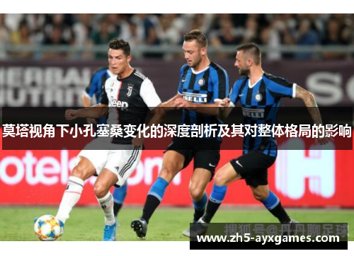 莫塔视角下小孔塞桑变化的深度剖析及其对整体格局的影响