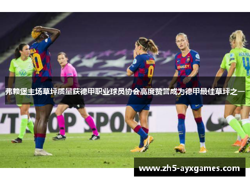 弗赖堡主场草坪质量获德甲职业球员协会高度赞誉成为德甲最佳草坪之一